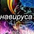 Дин Кунц американский писатель фантаст предсказавший эпидемию короновариса Так ли это