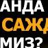 САЖДА ОЯТЛАРИ ЎҚИЛГАНДА ҚАНДАЙ САЖДА ҚИЛАМИЗ АБРОР МУХТОР АЛИЙ