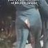 Sam Smith Dancing Too Hard Shorts