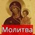 Молитва Пресвятой Богородице Пред Иконой Нечаянная Радость