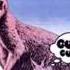Guru Guru Oxymoron