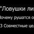 ЛЛЖ Глава 1 Почему рушатся отношения 1 3 Совместные цели