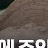 100년 만에 주인 밝혀진 비운의 왕릉 KBS 2025 06 17