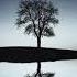 Go Solo Tom Rosenthal Relaxing Music