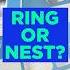 Ring Vs Nest Which Home Security Camera System Is Right For You