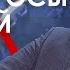 Арестович Politeka Ответы на вопросы зрителей 02 12