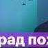 9 Мая парад поZoра Путин и пустота Россия в огне