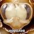 Несколько пчелиных королев это катастрофа амитеш пчелы