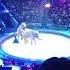 Цирк на Вернадского в Москве Reels Shorts Respect Circus