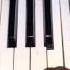 Piano Dolya Mesti Xumar