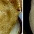 Блины нежные тонкие на молоке Секрет мягких нежных блинчиков Delicate Thin Pancakes With Milk