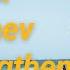 Matrix Garyaev Strengthening Immunity And Healing The Body