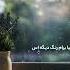 Hayedeh Love Romantic Baran Couple Iran Music Mahsaamini Art Loveyou