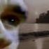 Morrissey Seasick Yet Still Docked Your Arsenal 1994 McBlitzen Video Edit