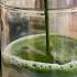 Matcha Ice Latte Like Song Spotify Movie Trailer Automobile Trending Romanticsongs Youtube