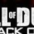 Call Of Duty Black Ops Zombiez Song
