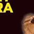 Sthir Dhan Prapti Mantra Shankar Mahadevan Album Mantra Shakti II Music Today