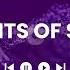 Fragments Of Sunlight Chill Royalty Free Music Nick Petrov No Copyright Music For Your Video