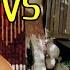 BLACKPINK How You Like That MV Vs Reality