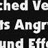 Low Pitched Version Of Two Cats Angry Yowls SFX