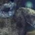 Infected Mushroom Head Of NASA Video Full Visual Trippy Videos GetAFix
