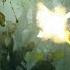 Zombie Army 4 Dead War ОРДА НЕМЁРТВЫЙ ЛЕС СОЛО ВЫСОКАЯ СЛОЖНОСТЬ