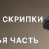 МОЦАРТ КОНЦЕРТ 5 ДЛЯ СКРИПКИ С ОРКЕСТРОМ MUSICA VIVA ДМИТРИЙ СИНЬКОВСКИЙ