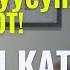 Ичтин катканы өткө кандай тиешелүү