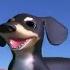 YTP The Epicness Of Dog Of Wisdom