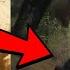 The Forgotten Girl In A Stream The Infuriating Case Of Michele Missy True Crime Documentary