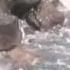My Heart Will Go On Recorder By Candlelight By Matt Mulholland Online Video Cutter Com