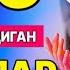 Дуо кабул буладиган вакт ва холатлар Abdulloh Domla