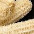 Corn Cobs Are Real Treasures Don T Throw Them Away