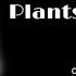 Plants Vs Zombie Song Русский старпёрский перевод