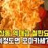 대전 둔산동 맛집 철판요리계 왕의 귀환 송광호철판요리 대전신상맛집 대전오마카세 대전철판요리 둔산동맛집 탄방동맛집 갈마동맛집 송광호철판요리
