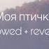 ANNA ASTI Моя птичка Slowed Reverb