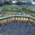 Ay Qawme Ba Hadj Rafta Kujayeed BY AWM