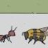 Ant Vs Bee