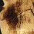 System Of A Down CUBERt
