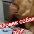 Операция Минус диван миссия выполнена Shortsvideo