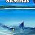 Max Graham Feat Neev Kennedy So Caught Up Dns Project Remix Vocal Trance 8kMinas