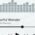 Wonderful Wonder
