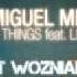 Miguel Migs Feat Lisa Shaw Those Things Scott Wozniak Remix
