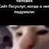 опять госуслуги