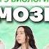 головной мозг биология умскул биологияегэ жаннаказанская