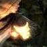 WHAT 4 Shorts Skyrim Skyrimanniversaryedition