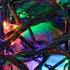 Smashing LED Christmas Lights