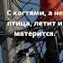 С когтями а не птица летит и матерится загадки логика головоломки