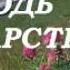 Безграничный в милости великий