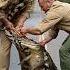Heroic Wildlife Rangers Battle Mighty Crocodile In Intense Jungle Rescue Animalrescue